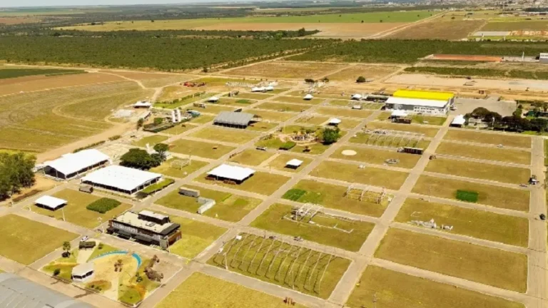 Bahia Farm Show inicia montagem e espera público superior a 100 mil