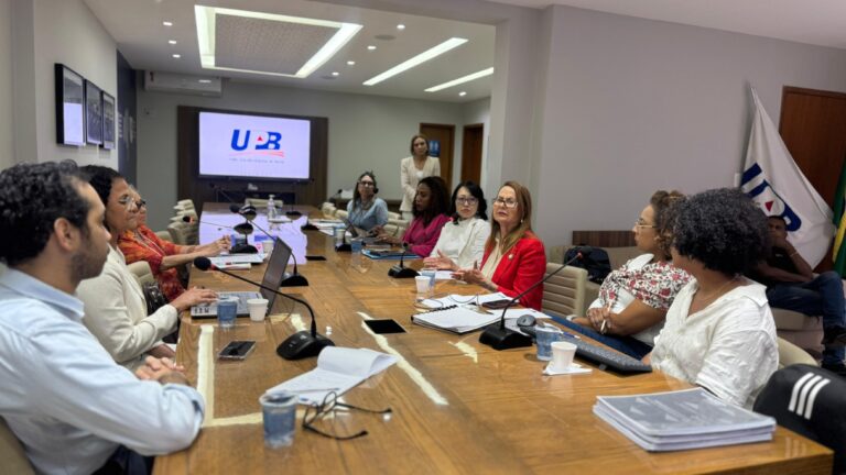 Comitê Bahia Alfabetizada realiza terceira reunião e reforça mobilização conjunta