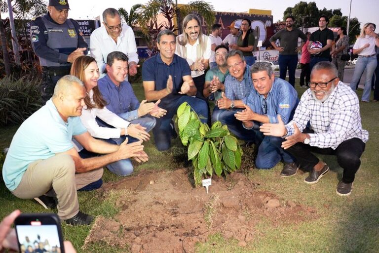 Barreiras reforça protagonismo do agro com plantio de mudas de cacau